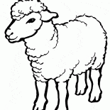 Symbol 2015