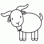 Goat on a walk