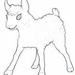 Little Lamb have fun