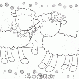 Elegant lambs
