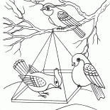 Coloring page | ColorKid.net