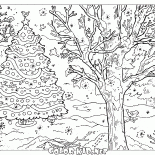 Winter landscape