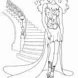 Long veil