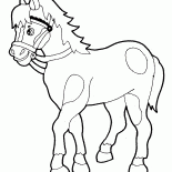 Horse walks