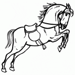 Horse in the circus
