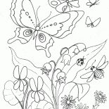 Lilies bloom