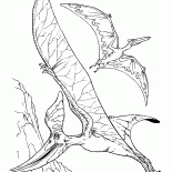 Pteranodon and a pterodactyl