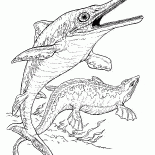 Ichthyosaur and plesiosaur