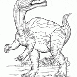 Dinosaur hunting