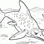 Ichthyosaurus 