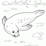 Seal relaxing