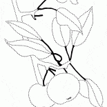 Apple tree branch