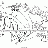 Figs and banana