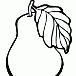 Sweet fruit on the tree