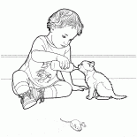Kitten