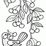 A branch with cherries