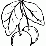 Sweet cherry