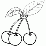 Cherries
