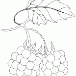Handicraft berries