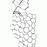 Bunch of grapes