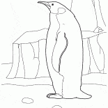 Penguin in the Arctic
