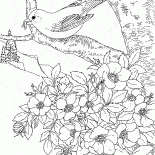 Eastern Goldfinch