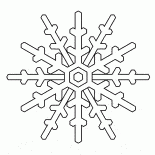 Beautiful snowflake