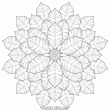 Unusual snowflake