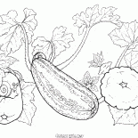 Set a few vegetables