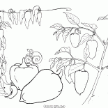 Bulgarian pepper