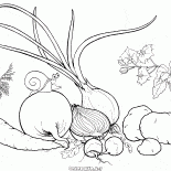 Vegetables from the garden