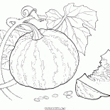 Pumpkin on the town