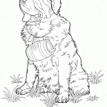 St. Bernard dog