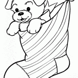 Puppy for Christmas