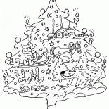 Unusual tree