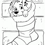 Dalmatian