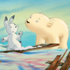 The Little polar bear