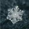Snowflakes