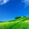 Seasons: Summer